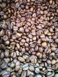 Cafe-Grano-1-ACPCU-scaled-e1746914878576-1152x1536-225x300