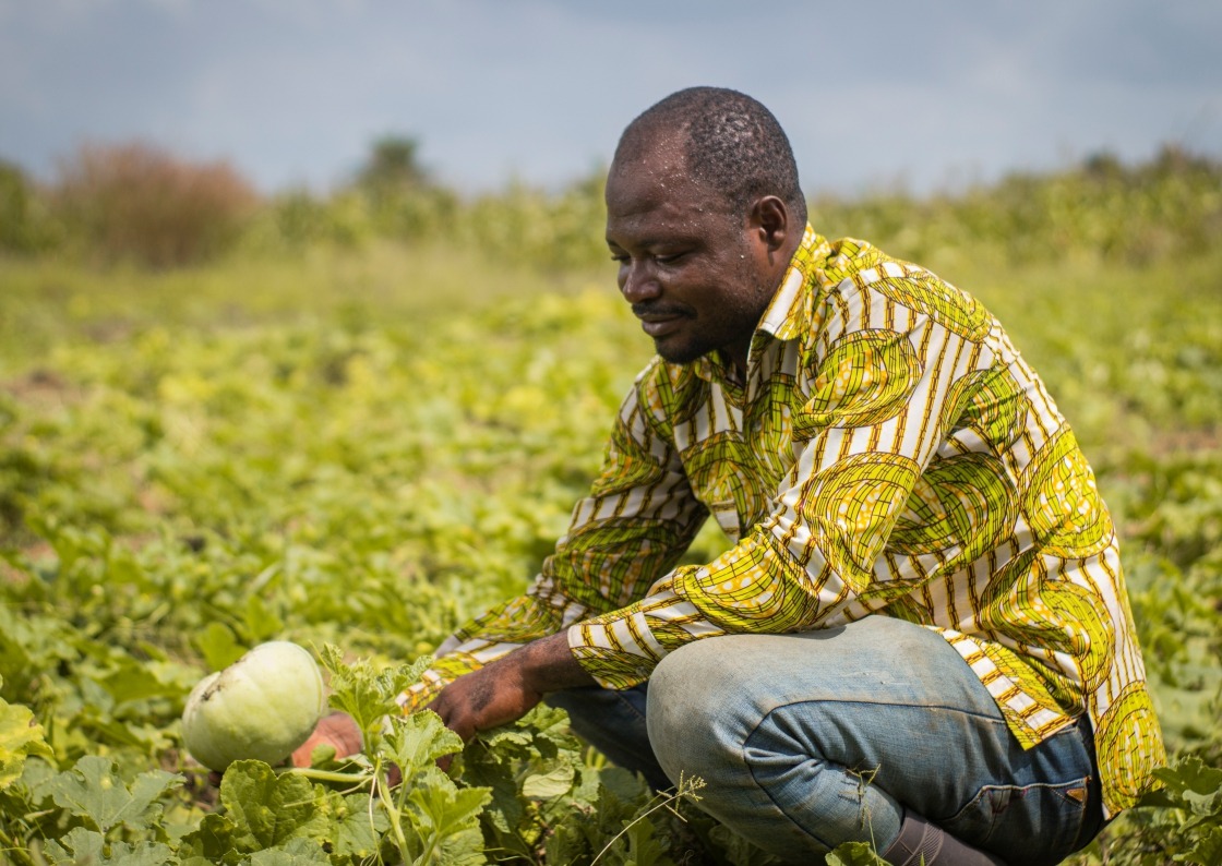 Mejora de los medios de subsistencia